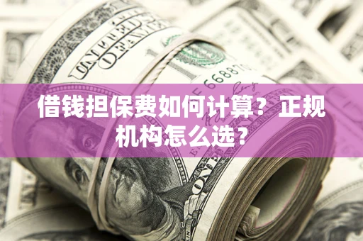 济南借钱担保费如何计算？正规机构怎么选？