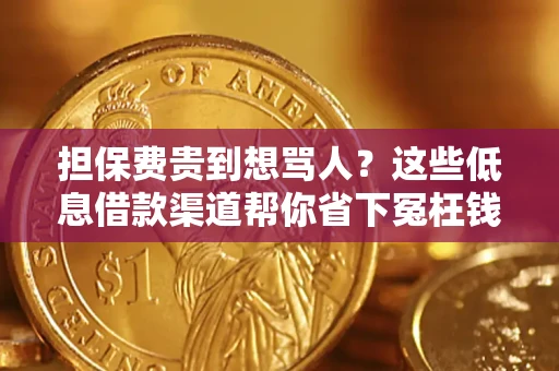 济南担保费贵到想骂人？这些低息借款渠道帮你省下冤枉钱