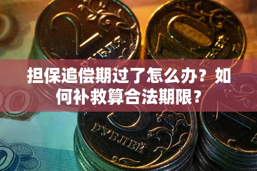 济南担保追偿期过了怎么办？如何补救算合法期限？